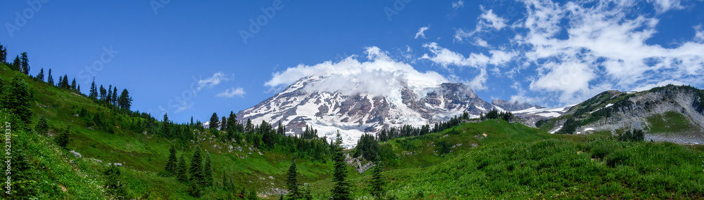 Mt. Rainier above an alpine meadow with summer wildflowers blooming, Paradise area at Mt. Rainier national park
