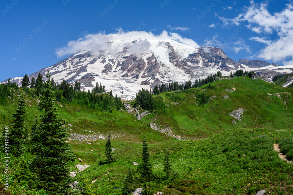 Mt. Rainier above an alpine meadow with summer wildflowers blooming, Paradise area at Mt. Rainier national park
