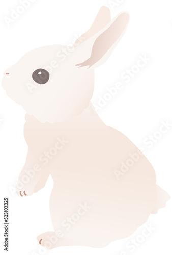 かわいい白いウサギのベクターイラストカット  立ち上がる, 様子を見る