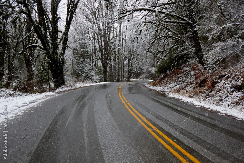 The empty road by snow and trees2 The empty road by snow and trees2