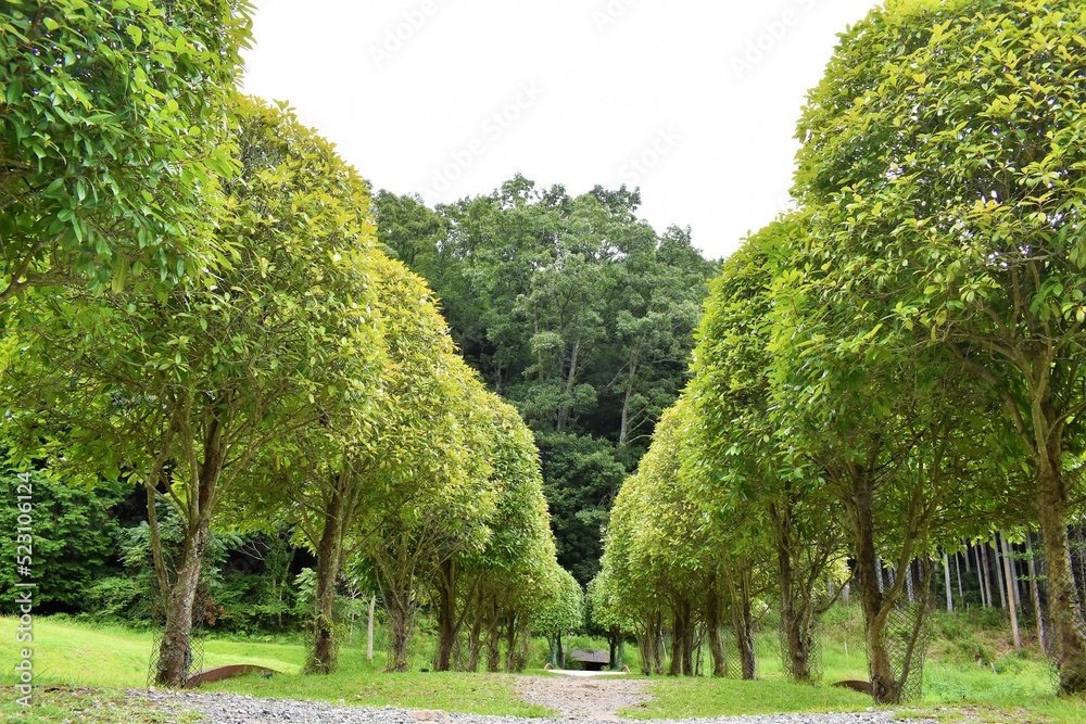 Obraz premium 井上武吉、ダニ カラヴァン、室生山上公園芸術の森、宇陀市、室生