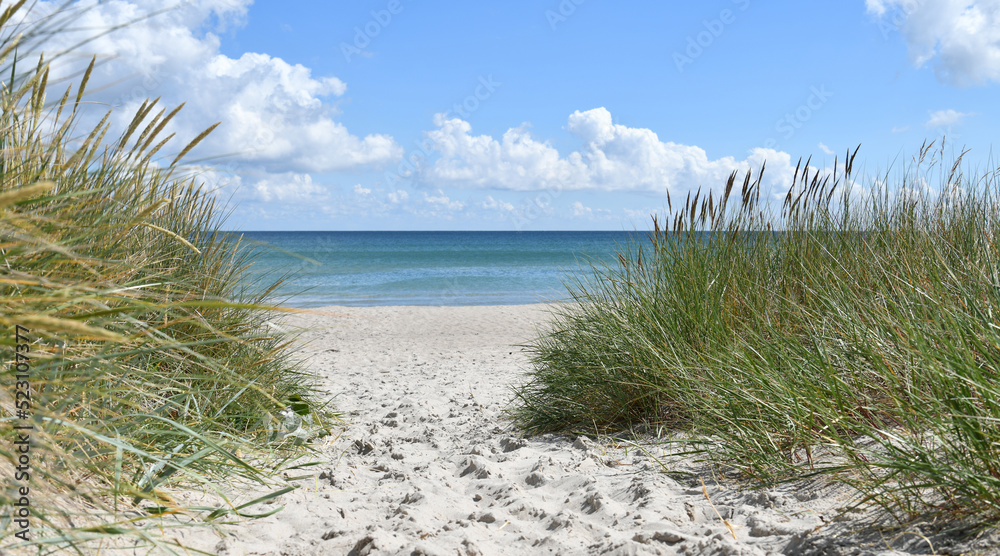 Weg zum Ostseestrand Weg zum Ostseestrand