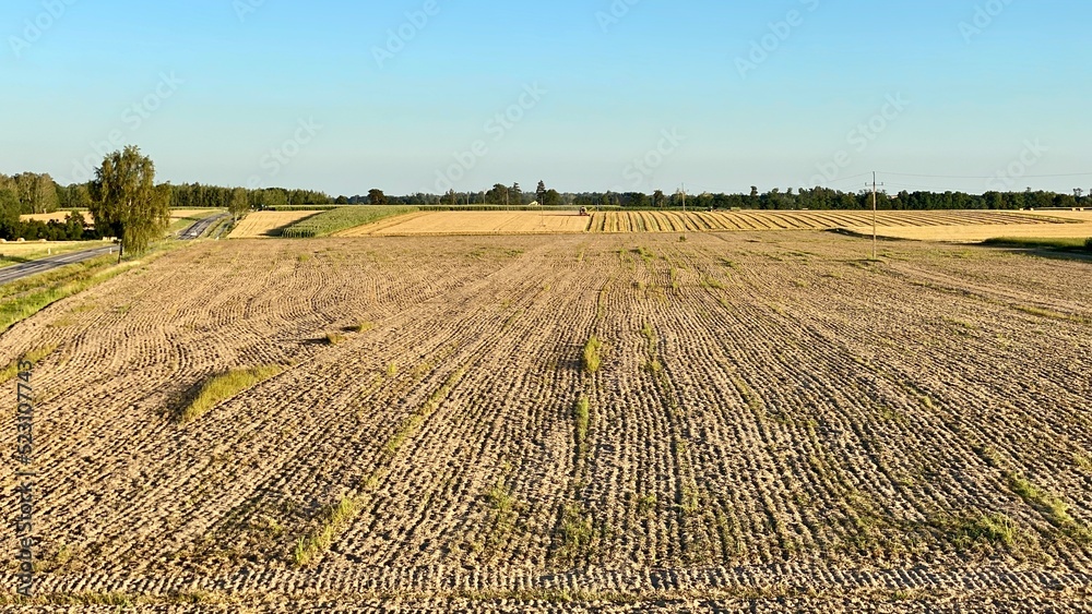 cultivated fields before sunset in vicinity of Wlodawa
