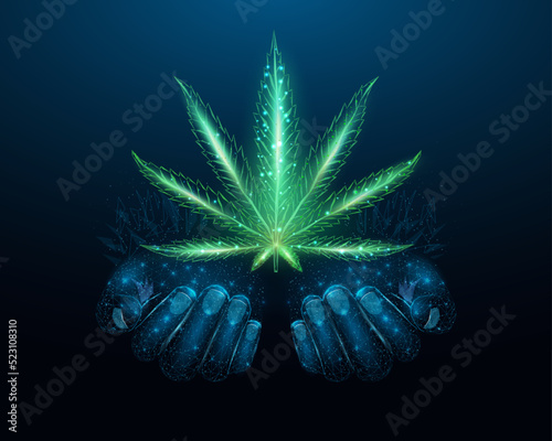 Two human hands are holds cannabis leaf. Low poly hemp. Wireframe glowing low poly  marijuana leaf. Design on dark blue background. Abstract futuristic vector illustration.