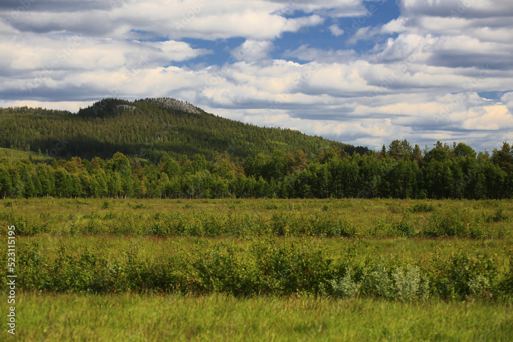 Meadows, forests and the small mountain Vithatten in northern Sweden