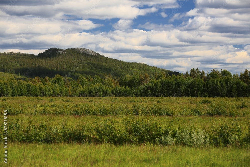 Meadows, forests and the small mountain Vithatten in northern Sweden Meadows, forests and the small mountain Vithatten in northern Sweden