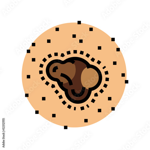 changing size chape color mole melanoma color icon vector. changing size chape color mole melanoma sign. isolated symbol illustration