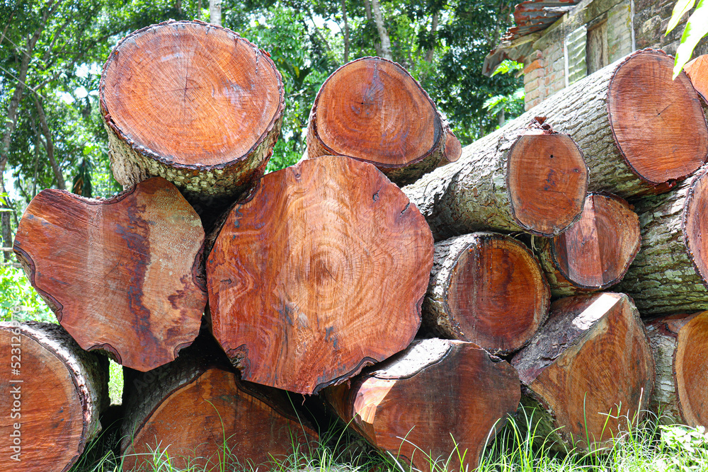 timber stock on saw mill