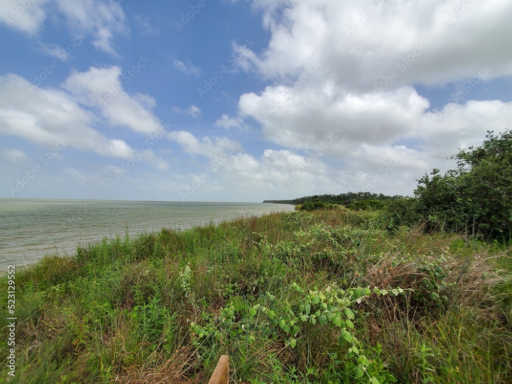 Obraz premium Clouds and grass and water