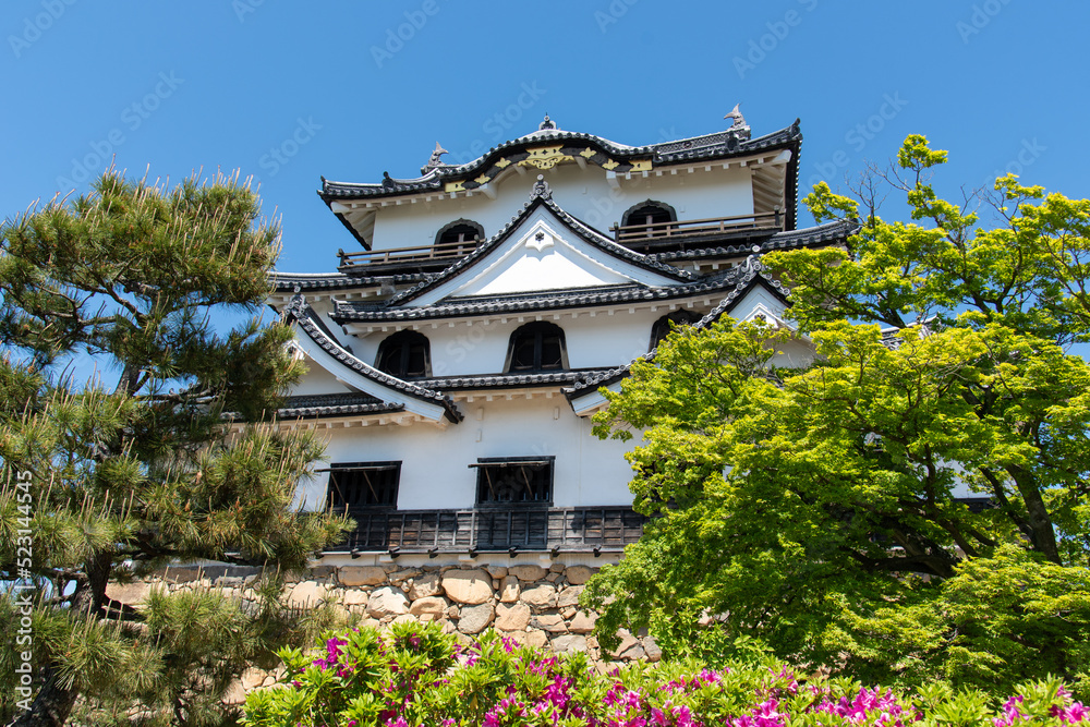 Naklejka premium 彦根城