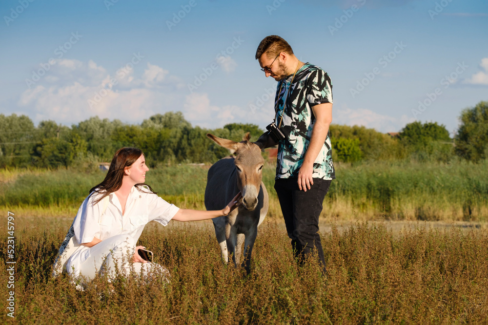 Boy and girl cuddle cute tame gray donkey in meadow