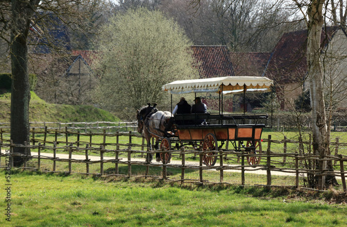 horse and carriage in Bokrijk, Belgium photo