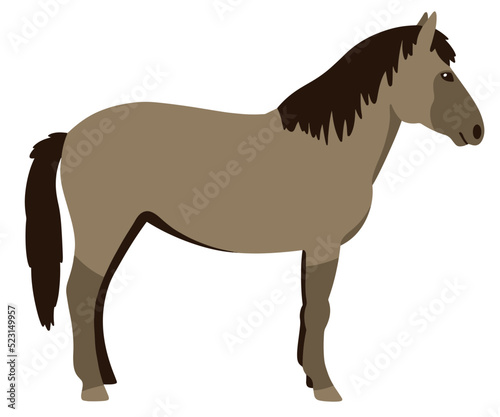 polish horse konik vector cartoon illustration