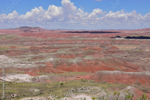 Scenic view of Petrified Forest National Park in Arizona, EEUU.