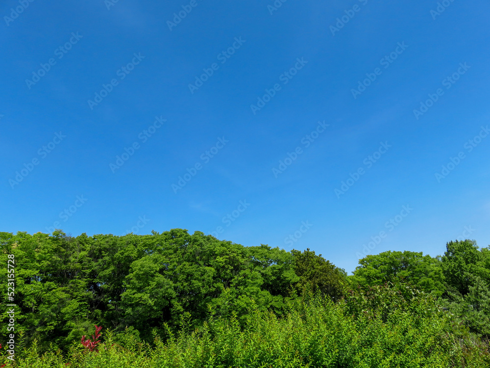 新緑と青空の広がる のどかな風景 リラクゼーション イメージ 風景素材 背景 日本 所沢 7 新緑と青空の広がる のどかな風景 リラクゼーション イメージ 風景素材 背景 日本 所沢 7