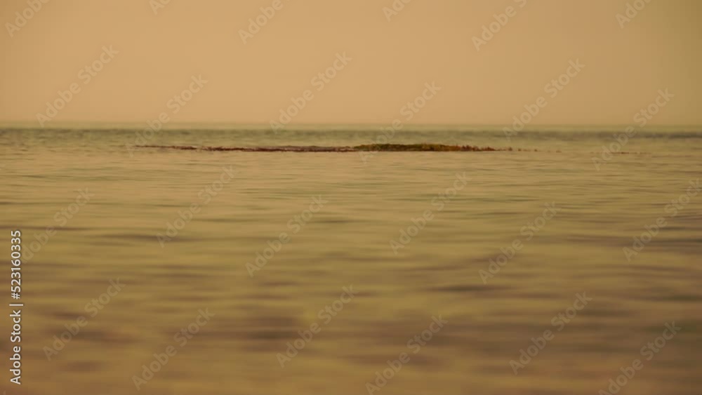 Abstract calm sea summer ocean sunset nature background. Small waves on water surface in motion blur with golden bokeh lights from sun. Holiday, vacation and recreational concept. Slow motion Abstract calm sea summer ocean sunset nature background. Small waves on water surface in motion blur with golden bokeh lights from sun. Holiday, vacation and recreational concept. Slow motion