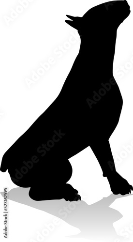 A detailed animal silhouett...