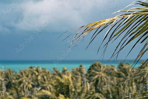 View of a forest of palm trees, rain clouds and turquoise sea on a tropical island on a sunny day. Palm leaves on the foreground . 