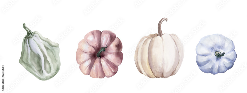 Watercolor Set with Pumpkins on White Background.