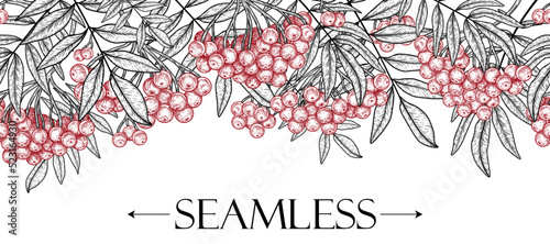 Seamless horizontal pattern rowan bush in engraving style
