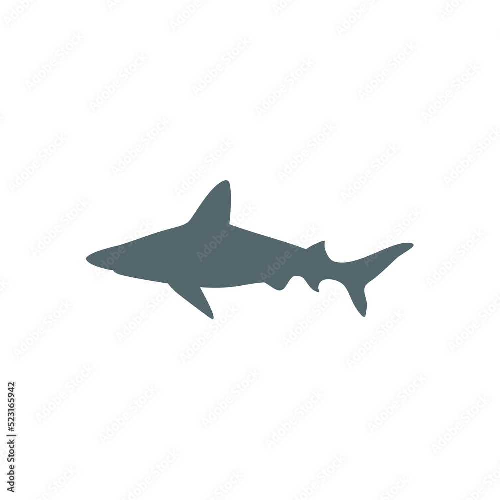 Illustration of a shark for an icon Illustration of a shark for an icon