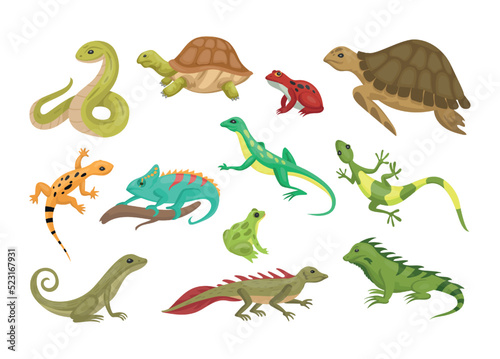 Wild reptiles. Turtle and lizard. Tropical reptilian. Amphibian or serpent. Isolated animals set. Gecko  triton and frog in rainforest. Invertebrate tortoise. Vector cartoon collection