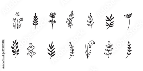Floral elements set flowers leaves simple outline style © Yanka