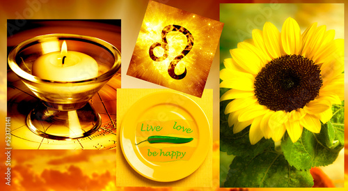 zodiac symbol Leo Lion and various pictures with the characteristic and they typical color of each zodiac sign like astrology concept and astrological image