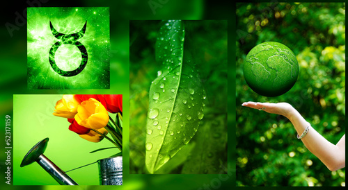 zodiac symbol and various pictures with the characteristic and they typical color of each zodiac sign like astrology concept and astrological image