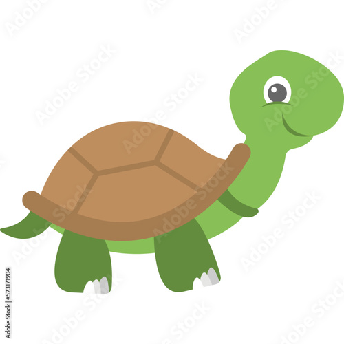 Tortoise Vector Icon 