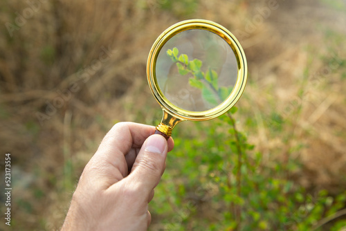 Male hand holding magnifying glass in outdoor.