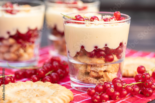 Dessert mit Johannisbeeren, Vanillepudding und Keks auf roter Tischdecke