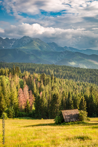 Wooden cottage on green val...
