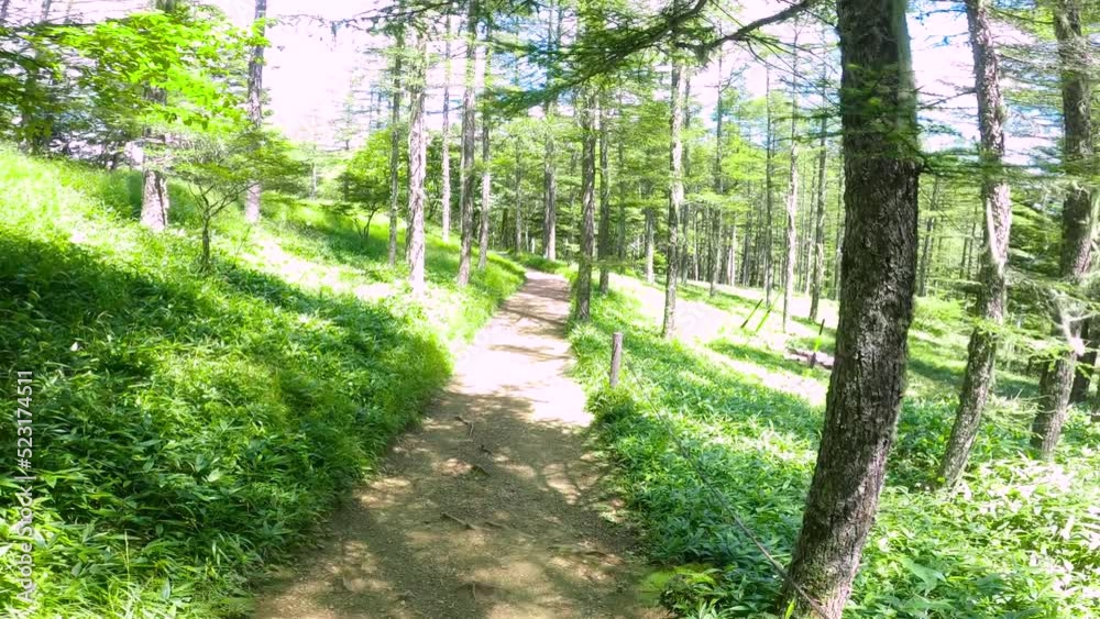 登山道 in 富士見パノラマリゾート 長野県 登山道 in 富士見パノラマリゾート 長野県