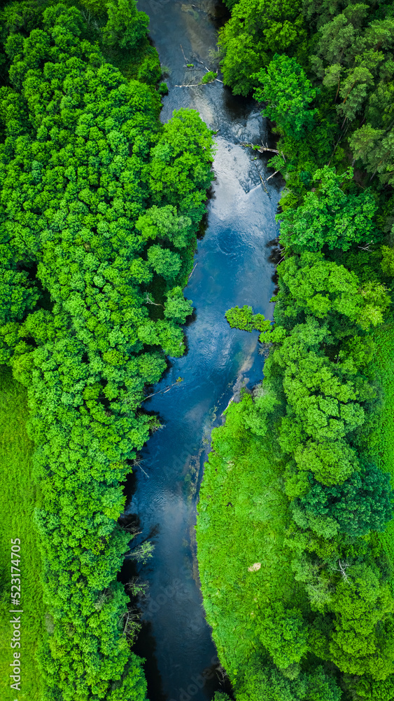 Aerial view of stunning forest and river in summer, Poland - obrazy, fototapety, plakaty 