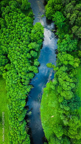 Aerial view of stunning forest and river in summer, Poland © shaiith