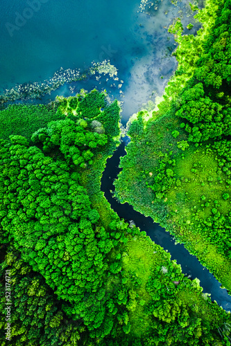 Top down view of amazing blooming algae on river
