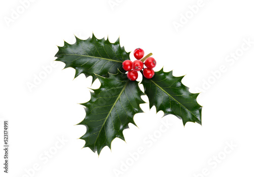 A sprig, three leaves, of green holly and red berries for Christmas decoration isolated against a transparent background. photo