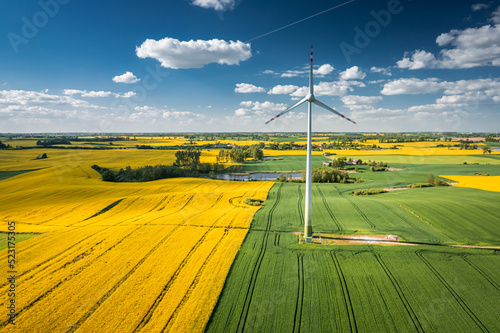 Amazing wind turbine and field of rapeseed. Poland agriculture.