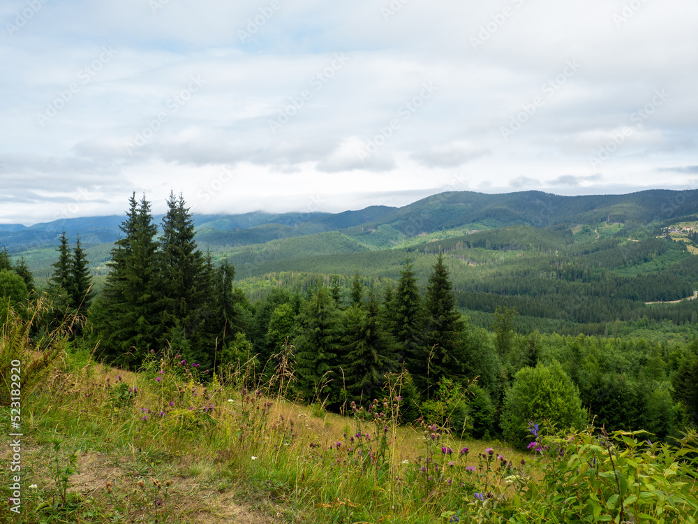 Obraz premium Majestic landscape of summer mountains. View of hills in mist. Carpathians. Amaizing view on the mountains and cloudy sky near Verkhovyna, Ukraine.