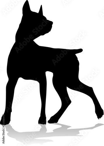 A detailed animal silhouett...
