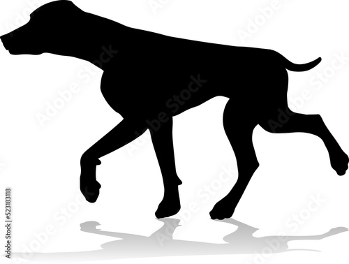 A detailed animal silhouett...