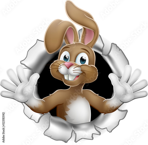 Easter bunny rabbit cartoon...