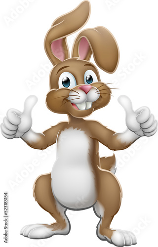 Easter bunny rabbit cartoon...
