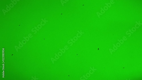 Demage Chromakey. Effect of an old TV with interference, distortion, glitches and flicker on green screen. Ideal for overlay. photo