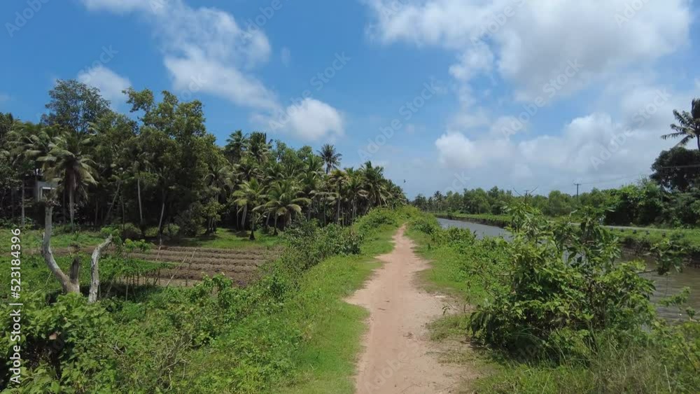 Punchakkari Wetlands and agricultural Field, biodiversity and bird watching area in Thiruvananthapuram, Kerala Punchakkari Wetlands and agricultural Field, biodiversity and bird watching area in Thiruvananthapuram, Kerala