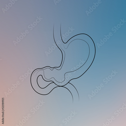 Minimal stomach and gastrointestinal system illustration on gradient. Abdomen internal organs anatomy. Futuristic medical scientific vector clipart.