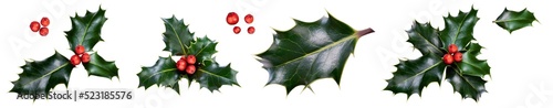 A holly sprig collection, three leaves, of green holly and red berries for Christmas decoration isolated against a transparent background. photo