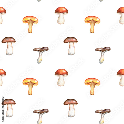 Watercolor mushrooms seamless pattern. Hand painted illustration. Cute autumn design. Beautiful natural background. Fall forest wallpaper, botanical texture print.