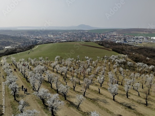 Watchtower Mandlonove sady Hustopece Czechia Mandloňová rozhledna a sady v Hustopečích,Czech republic,Europe,aerial panorama landscape view photo